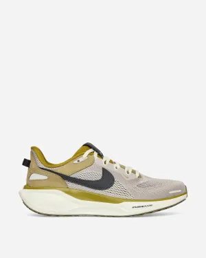 Air Zoom Pegasus 41 Sneakers College Grau / Anthrazit