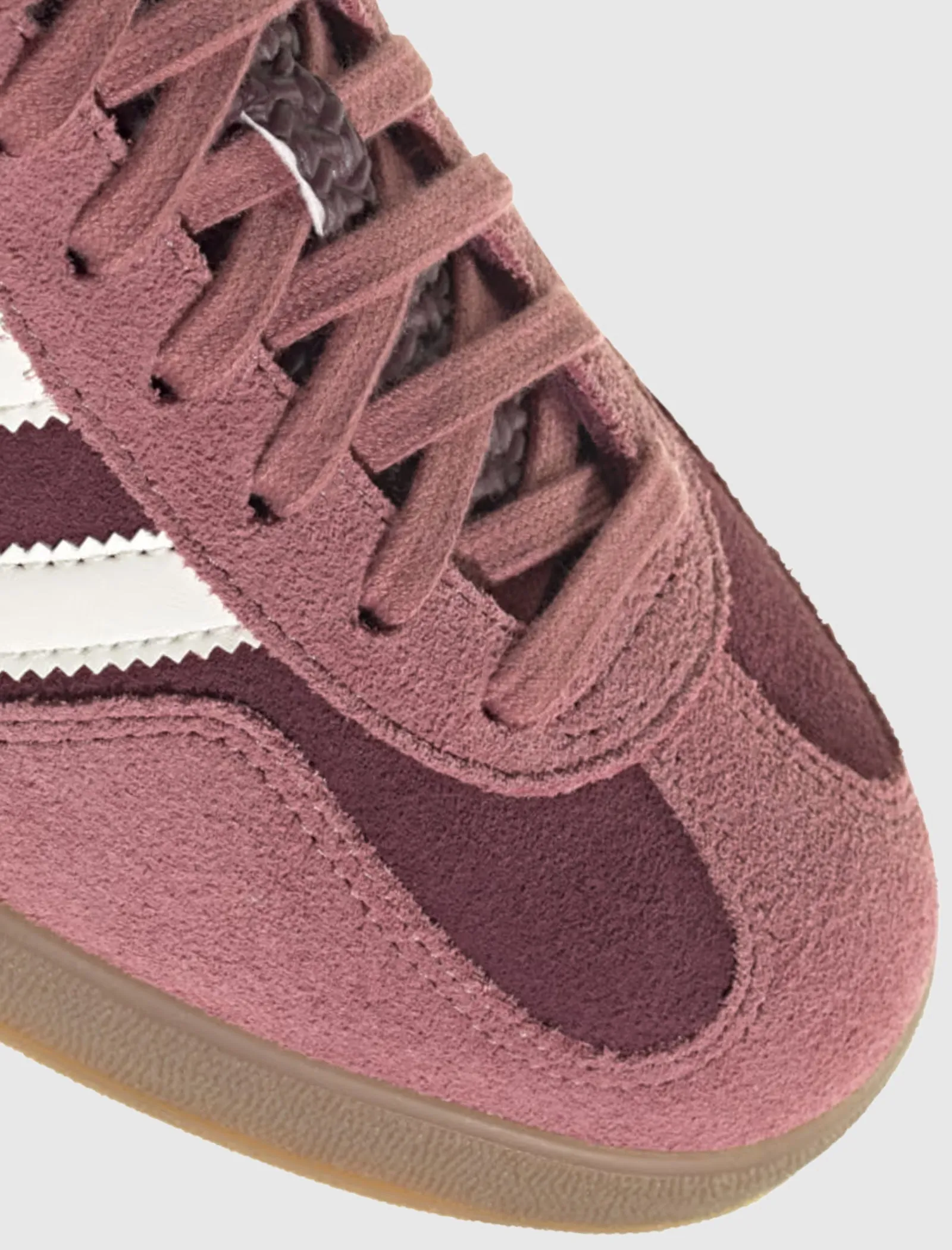 GAZELLE INDOOR 