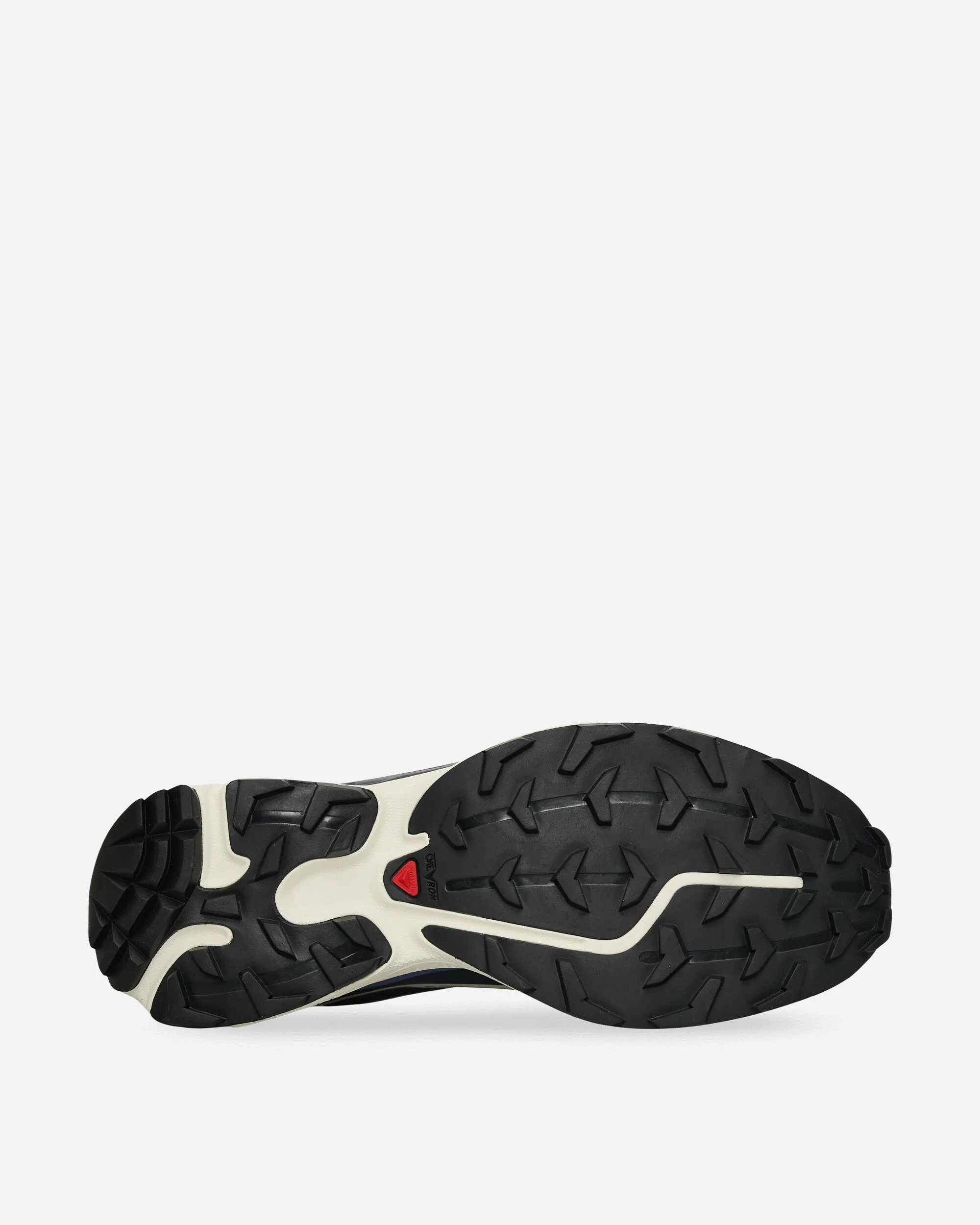 XT-6 GORE-TEX Sneakers Carbon / Vanilleeis / Liberty